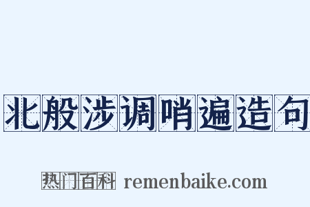 北般涉调哨遍造句是什么意思的图片